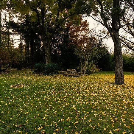 Hotel Le Domaine Du Moulin De Monjous 格拉迪尼昂 外观 照片