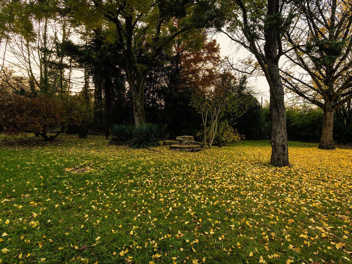Hotel Le Domaine Du Moulin De Monjous 格拉迪尼昂 外观 照片